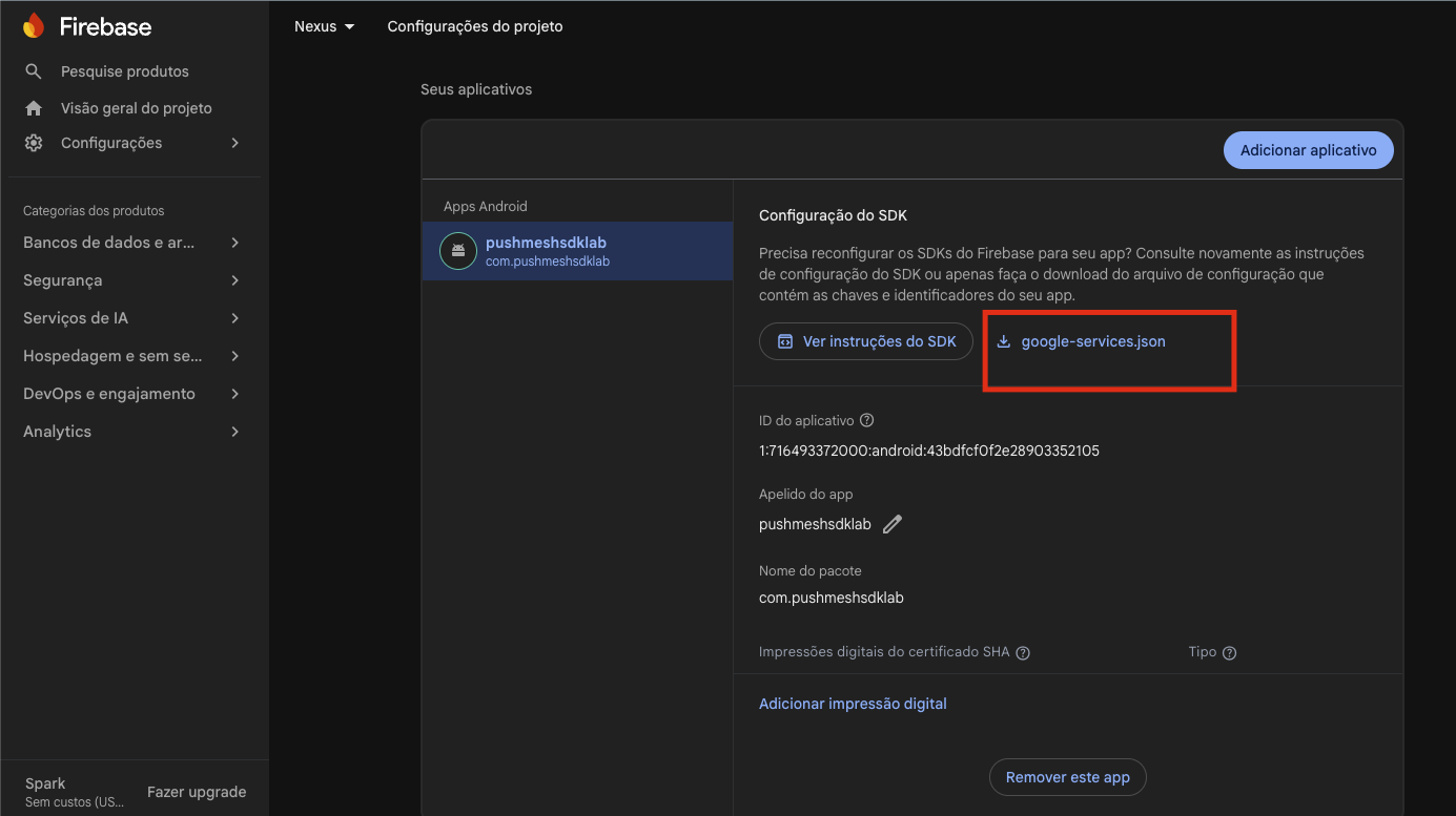 Project settings with the google-services.json download